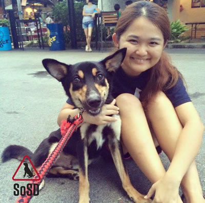 Rehoming Volunteer Hui Jin 090416