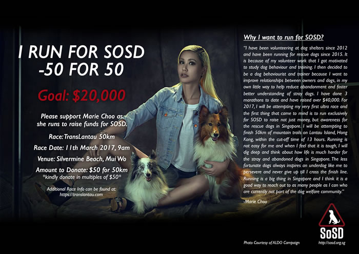 I RUN FOR SOSD – 50 FOR 50