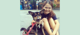 Rehoming Volunteer Hui Jin Banner