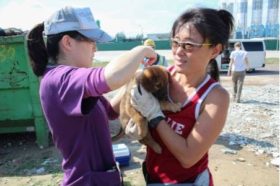 Vaccination Campaign