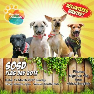 2017 Flagday Mission Pawsible