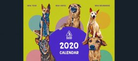 SOSD 2020 Calendars Banner